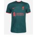 Herren Fußballbekleidung Liverpool Virgil van Dijk #4 3rd Trikot 2022-23 Kurzarm